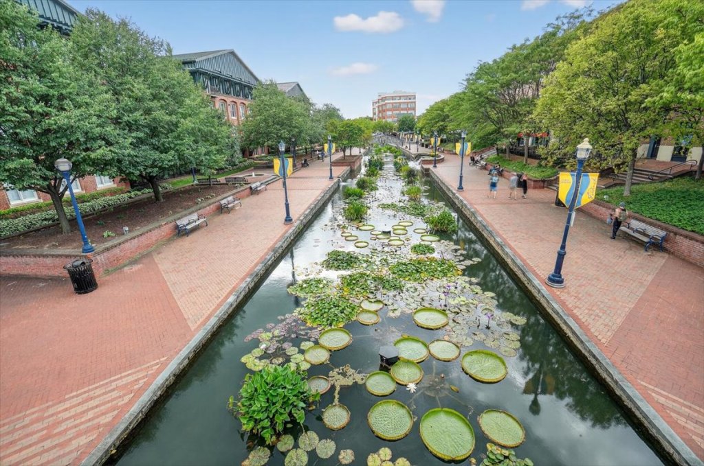 Living in Downtown Frederick: More Than Just a&nbsp;Home
